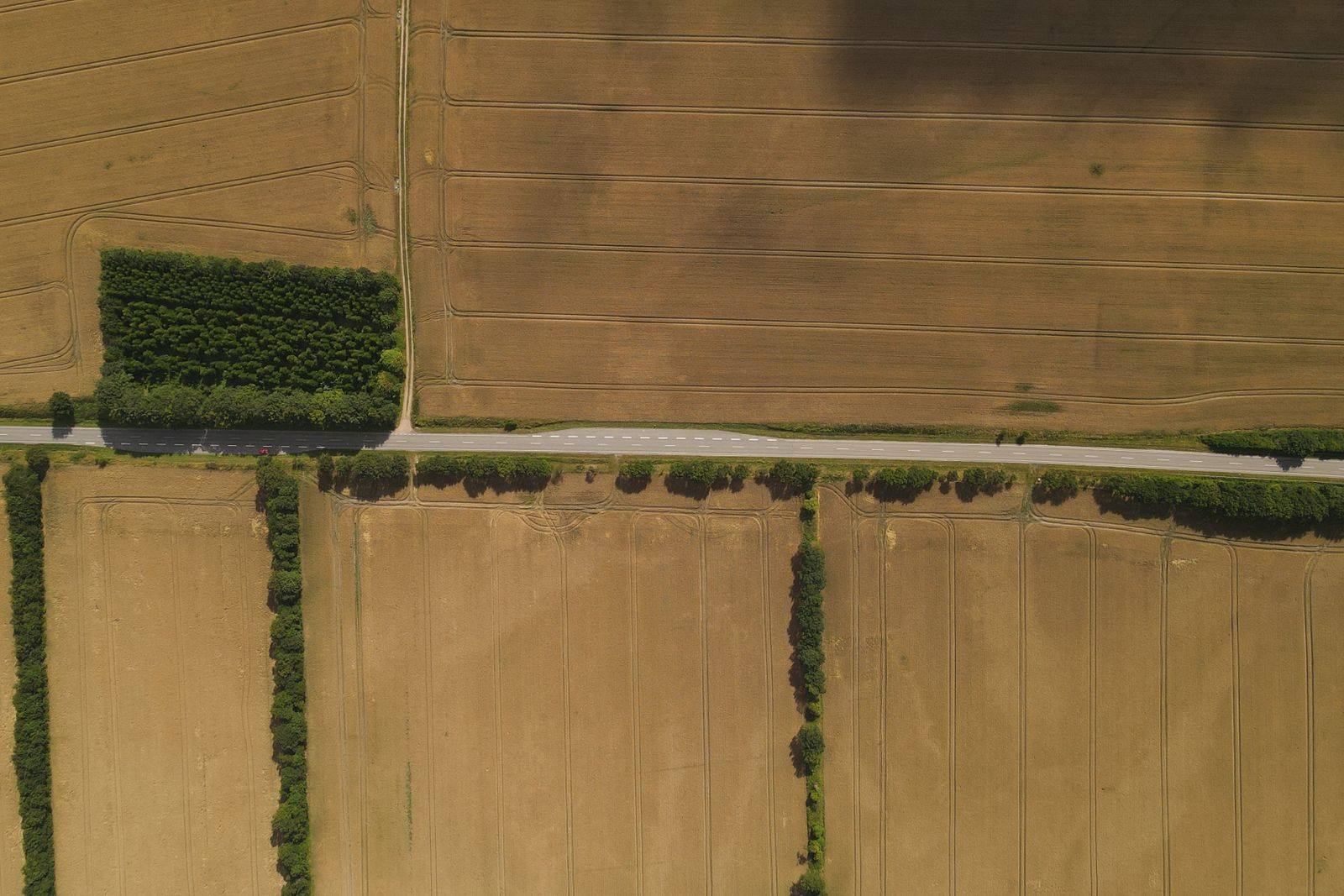 Boundary survey, growth corridor