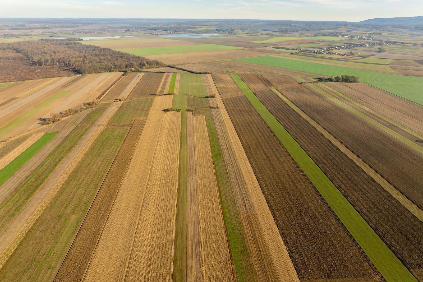 An aerial view of farmland divided into long strip parcels.