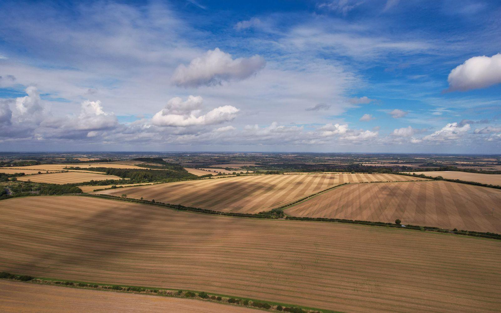 An aerial view of open farmland running to a distant horizon.