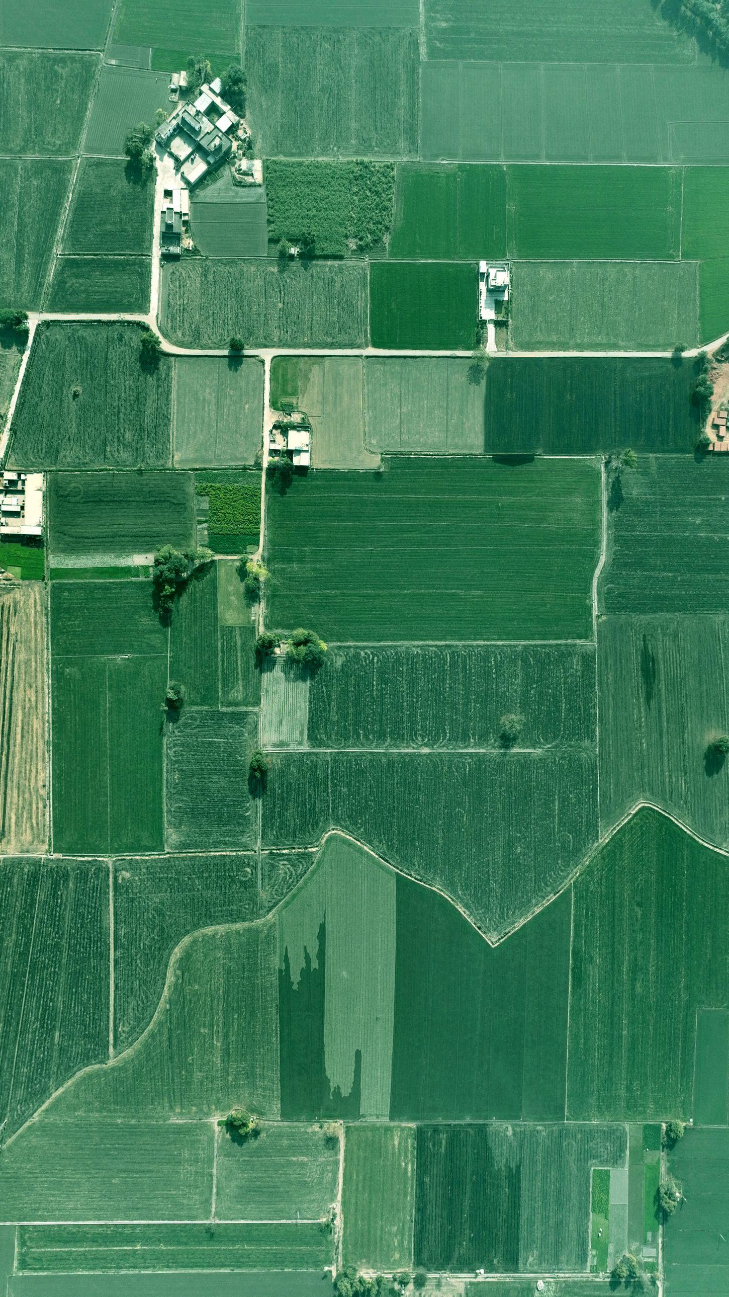 An aerial view of green farmland divided into field plots.