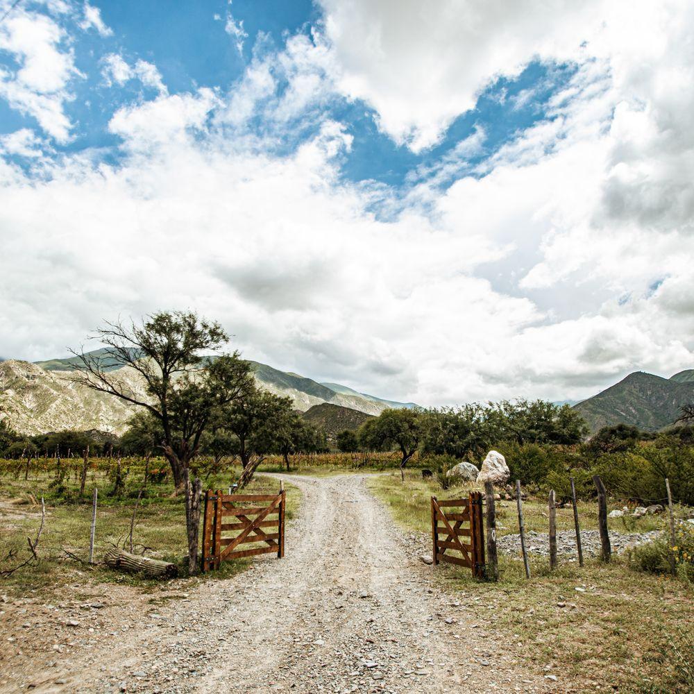 An open wooden gate onto a gravel track running into farmland.